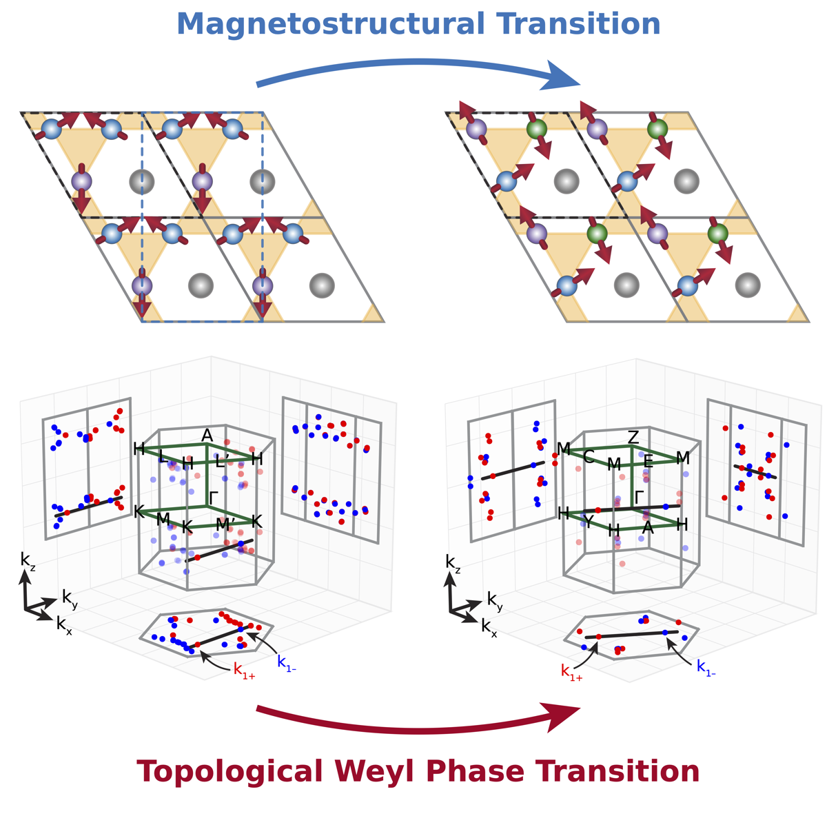Mn3Ga summary figure: the magnetostructural transition between two kagome antiferromagnetic spin structures (top) drives a reorganization of Weyl nodes in the Brillouin zone — a topological Weyl phase transition (bottom)
